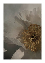 Ladda upp bild till gallerivisning, Floret poster - TOVE FRANK