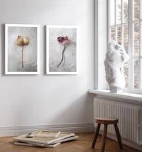 Ladda upp bild till gallerivisning, "Pink poppy" poster - TOVE FRANK