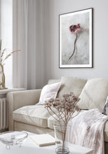 Ladda upp bild till gallerivisning, "Pink poppy" poster - TOVE FRANK