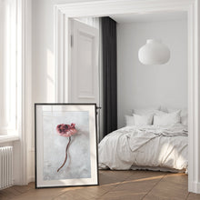 Ladda upp bild till gallerivisning, "Pink poppy" poster - TOVE FRANK