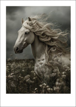 Ladda upp bild till gallerivisning, Wildflower Wind - poster - TOVE FRANK