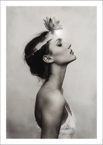 "Lotus Light" poster - TOVE FRANK
