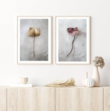 Ladda upp bild till gallerivisning, &quot;Pink poppy&quot; poster - TOVE FRANK
