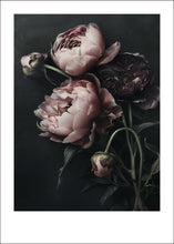 Ladda upp bild till gallerivisning, Soft Awakening - poster - TOVE FRANK
