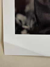 Ladda upp bild till gallerivisning, Daisy Dot – detalj av skicket, TF-SS-006
