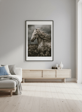 Ladda upp bild till gallerivisning, Wildflower Wind - poster - TOVE FRANK

